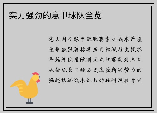 实力强劲的意甲球队全览